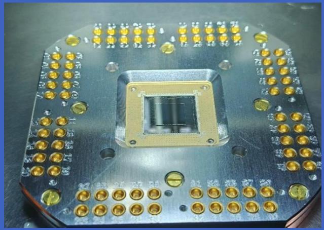 Close-up of a metallic electronic component with multiple gold pins and a central square chip (no visible text or symbol