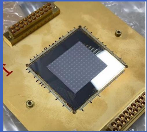 Close-up of a microchip with visible internal components and gold substrate (no text or symbols)