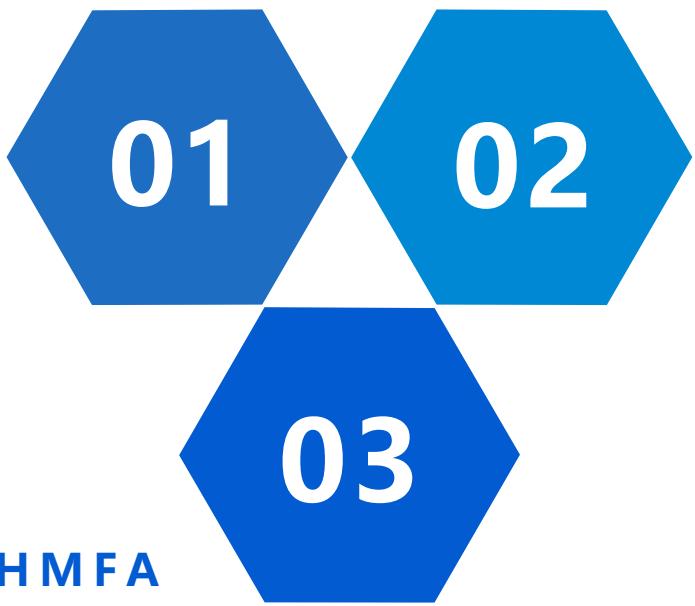 01 02 03 HMFA